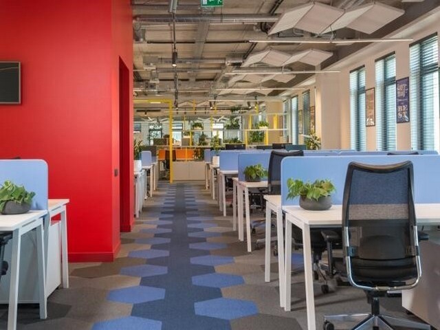 海南本地车辆检测器种类